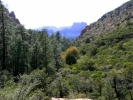 PICTURES/Vultee Arch Trail - Sedona/t_Valley Shot1.JPG